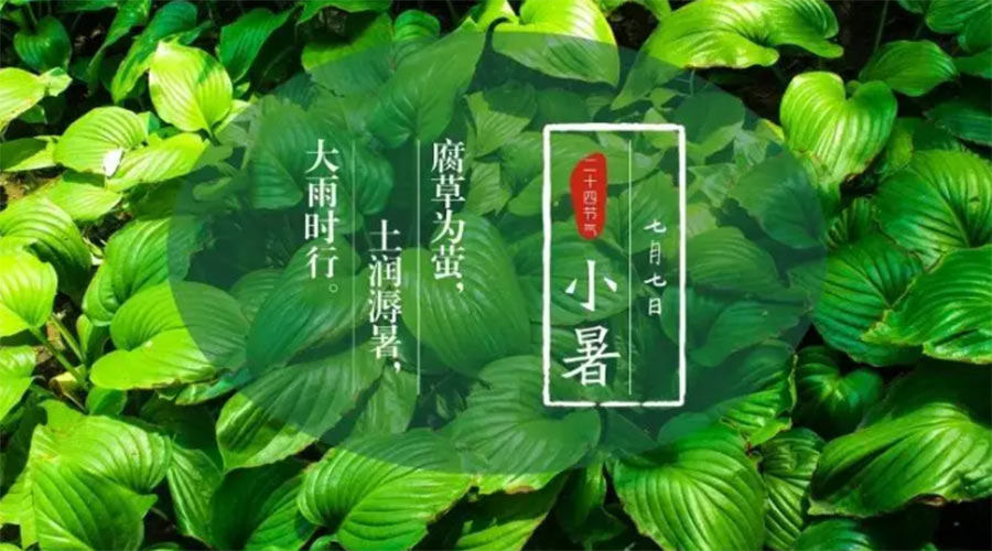 小暑時節(jié)來到！金環(huán)電器提醒大家要注意的事項